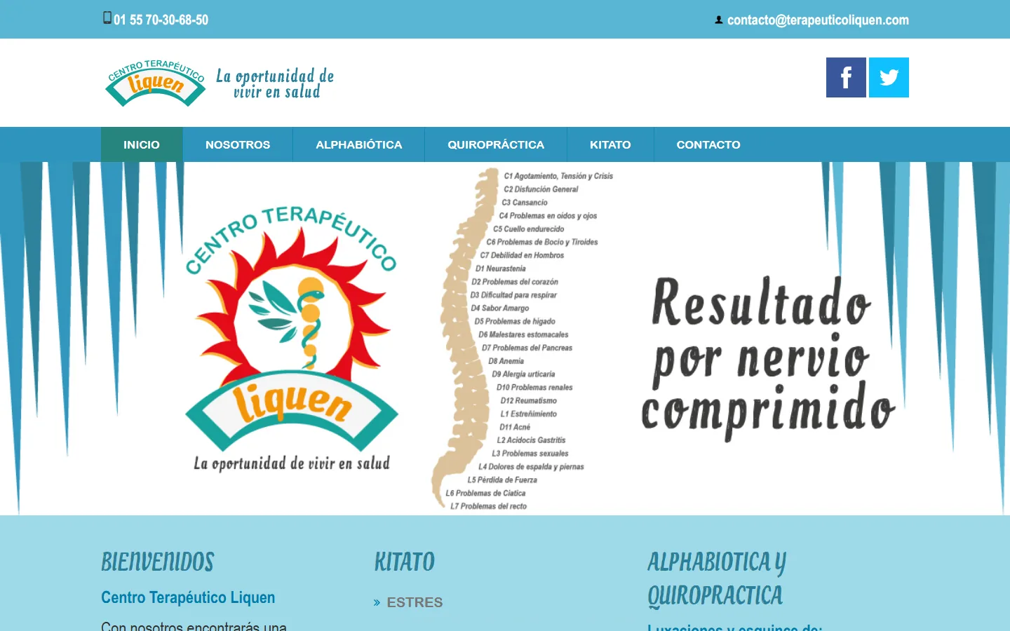 Captura del sitio de Terapéutico Liquen