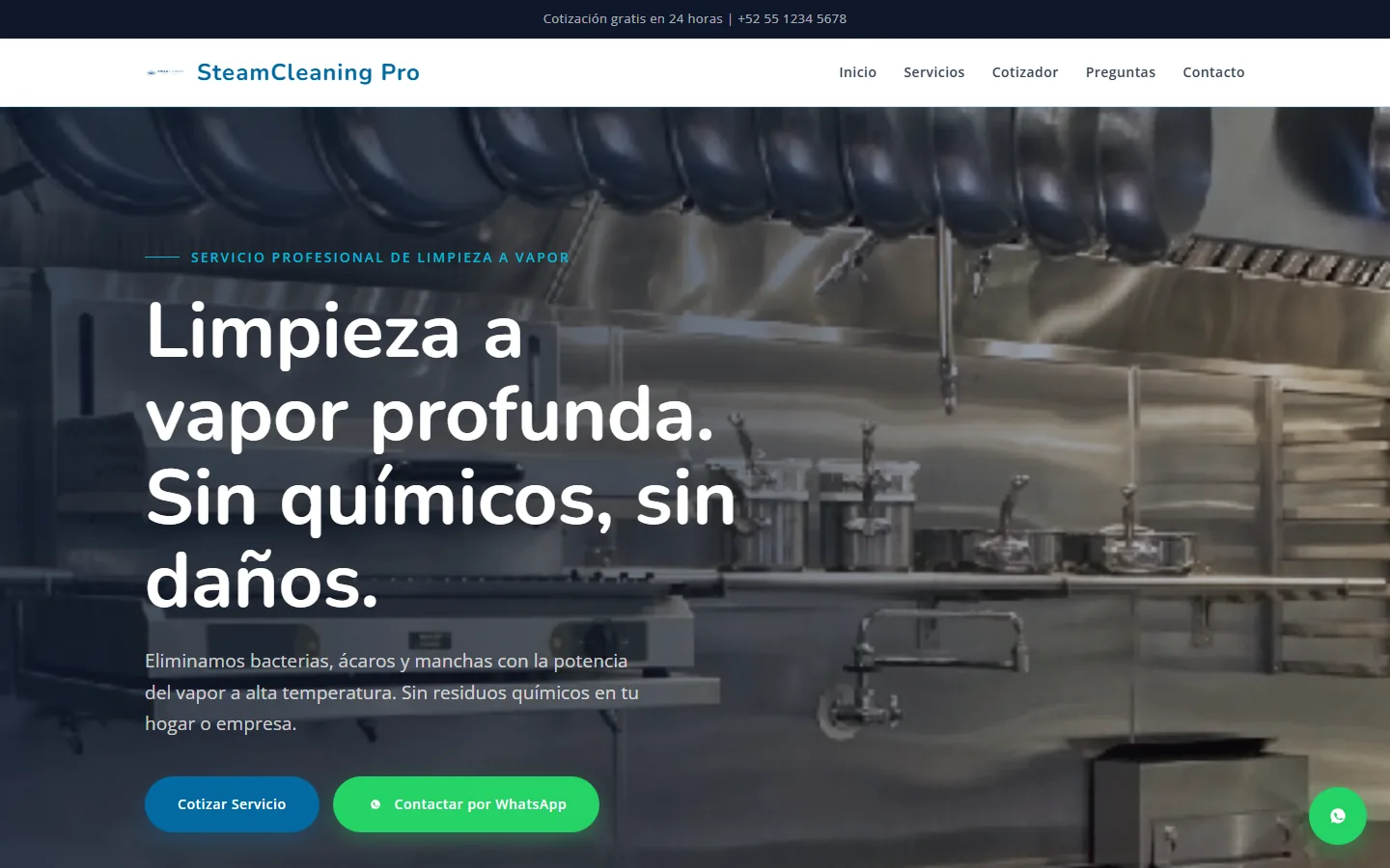 Captura de la demo SteamCleaning Pro, versión escritorio